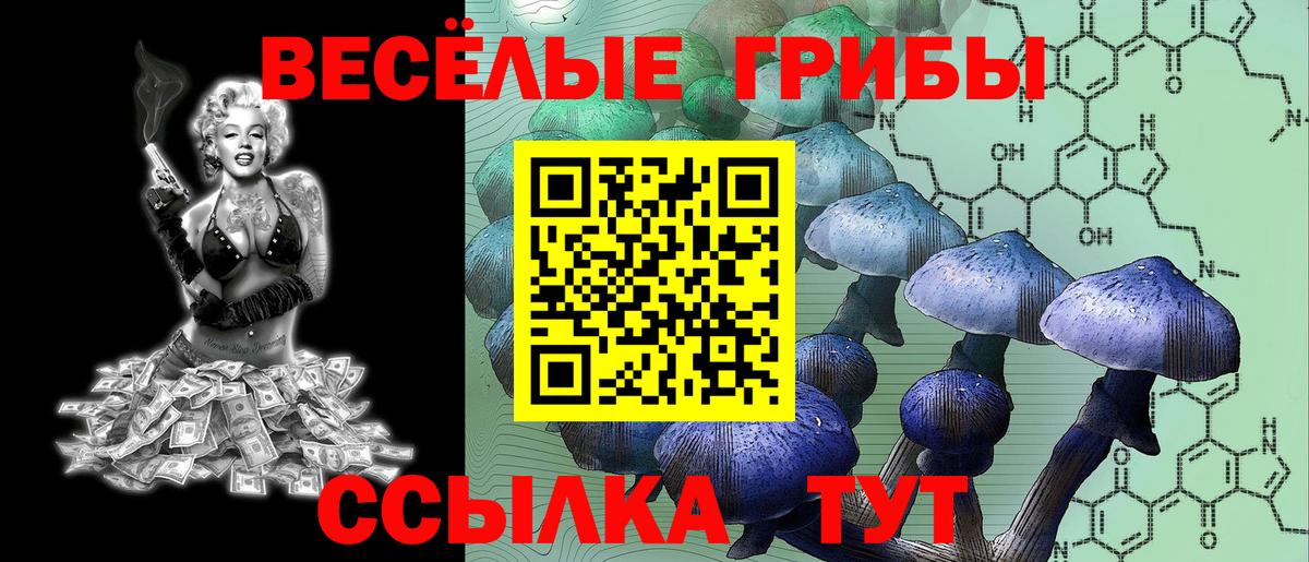 Псилоцибиновые грибы мицелий  Вход с VPN  Лесосибирск 