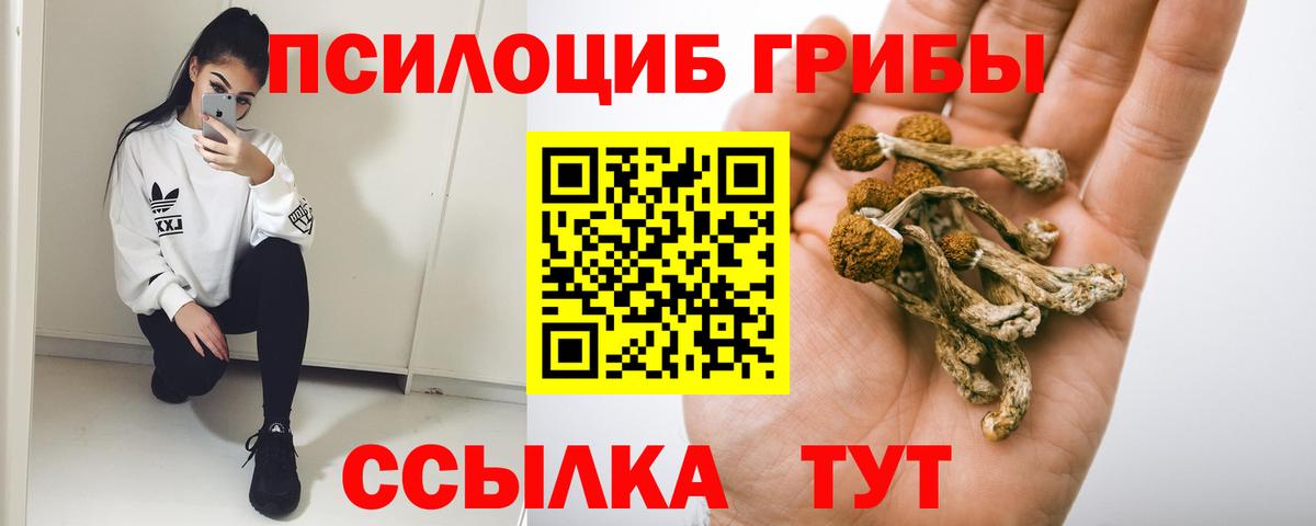Галлюциногенные грибы Cubensis Лесосибирск